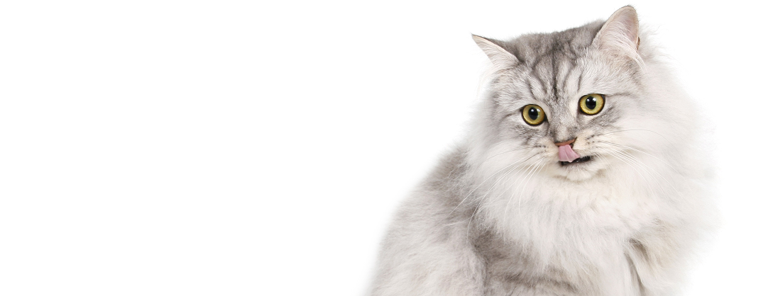 How Outcall Massage Improves Mental and Physical Health